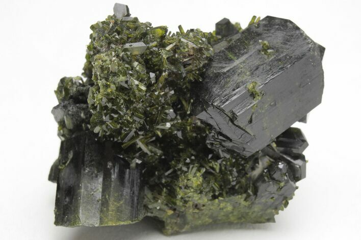 Lustrous, Epidote Crystal Cluster on Actinolite - Pakistan #213443